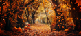 Charger l'image dans la visionneuse de la galerie, Autumn Pathway Backdrop
