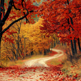 Load image into Gallery viewer, Golden Forest Autumn Backdrop
