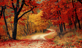 Load image into Gallery viewer, Golden Forest Autumn Backdrop
